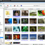 MovieShop Browser 1.7.4 screenshot