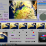 MovieShop Framer 1.7.4 screenshot