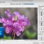 Neat Image plug-in for Photoshop 9.2.0 screenshot