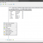 OraBone 8.5.0 screenshot