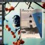 Page Flip Book Theme of illegibility 1.0 screenshot