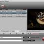Pavtube Video Converter Ultimate 4.8.6.7 screenshot