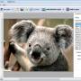 Photo SlideShow Builder 1.6 screenshot