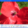 Photo Toolkit 1.8 screenshot