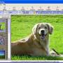 Photolightning 5.51 screenshot