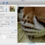 PhotoZoom Classic for Mac 8.2.0 screenshot