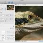 PhotoZoom Pro for Mac 9.0.2 screenshot