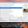 PicConvert 1.1 screenshot