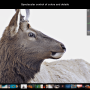 Polarr Photo Editor 5.0 screenshot