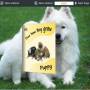 puppy Theme for Wise PDF to FlipBook pro 1.0 screenshot