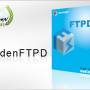 RaidenFTPD FTP Server 2.4.4005 screenshot