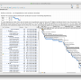 RationalPlan Single Project for Mac 6.1 screenshot