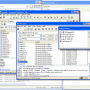 Raxso Enterprise 5.0 screenshot