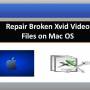 Repair Broken Xvid Video Files on Mac OS 1.0.0.18 screenshot