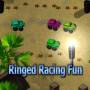 Ringed Racing Fun 2.0 screenshot