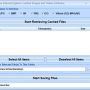 Save Internet Explorer Cached Images and Videos Software 7.0 screenshot