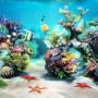 Sim Aquarium 3D 3.8.68 screenshot