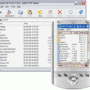SoftX FTP Client 3.3 screenshot