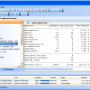 Spices.Net Suite 5.21.5.0 screenshot