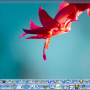 SSuite Office Excalibur Release 4.40.14.6 screenshot