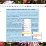 SSuite Writers D-Lite 2.10.1.1 screenshot