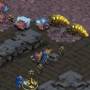 Starcraft Brood War Patch 1.161 screenshot