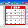 The Bingo Maker 7.0 screenshot