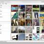 The Image Collector 1.16 screenshot