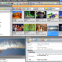 ThumbsPlus 10.SP2.4015.8 screenshot