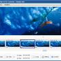 ThunderSoft Video to GIF Converter 5.4.0 screenshot