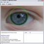 VeriEye Algorithm Demo (For Windows) 2.5 screenshot