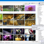Video File Browser 1.0.85.80 screenshot