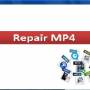 Video File Repair Software 2.0.0.10 screenshot