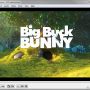 VLC Media Player Portable 3.0.20 screenshot