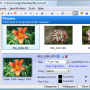 Wallpaper Cycler 3.6.0.180 screenshot