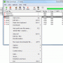 Web Downloader 1.3.0.0 screenshot