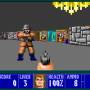 Wolfenstein 3d  screenshot